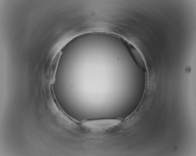 X0000113211389200910011310