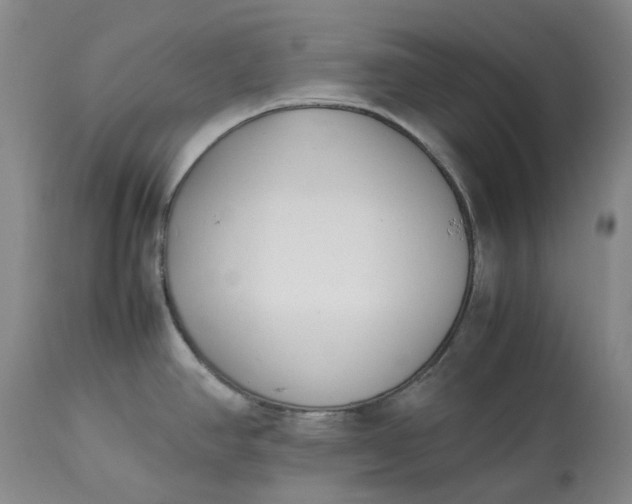 X0000113211390200910011310