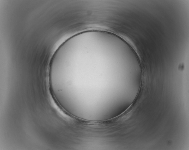 X0000113211391200910011310