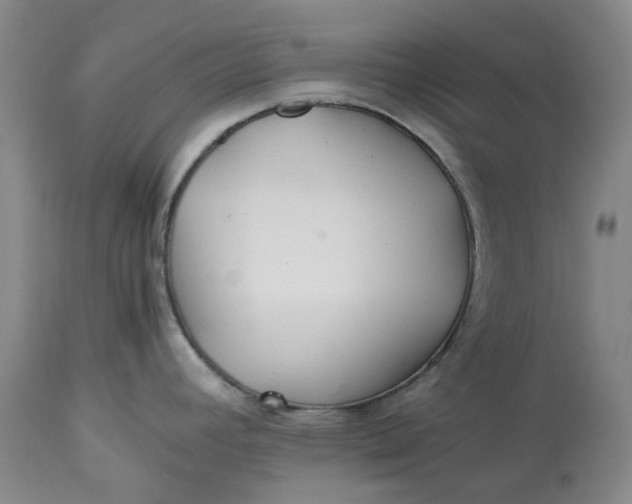 X0000113211392200910011310