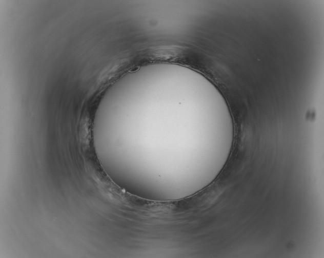 X0000113211394200910011309