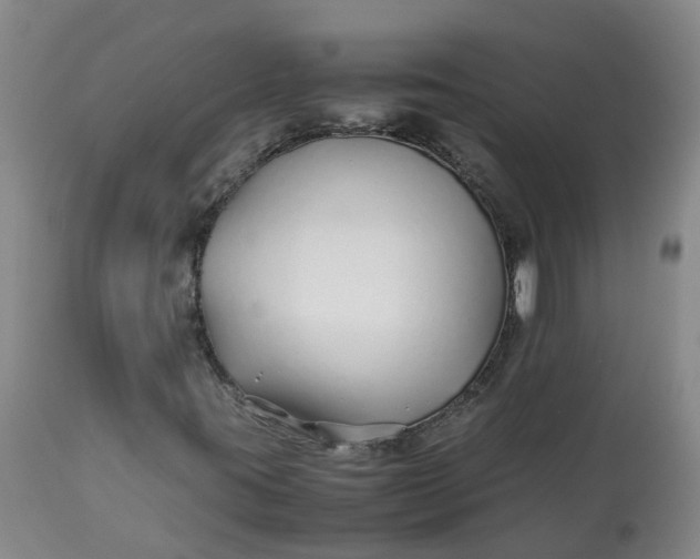 X0000113211395200910011309