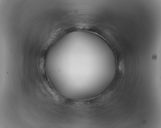 X0000113211396200910011309