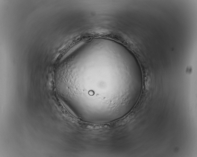 X0000113211397200910011309