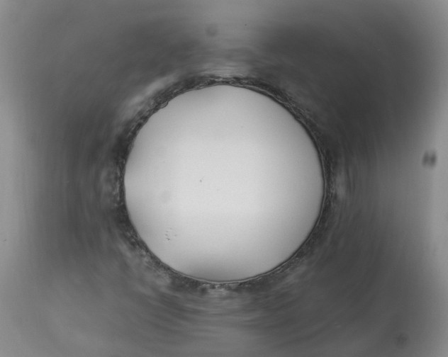 X0000113211398200910011309