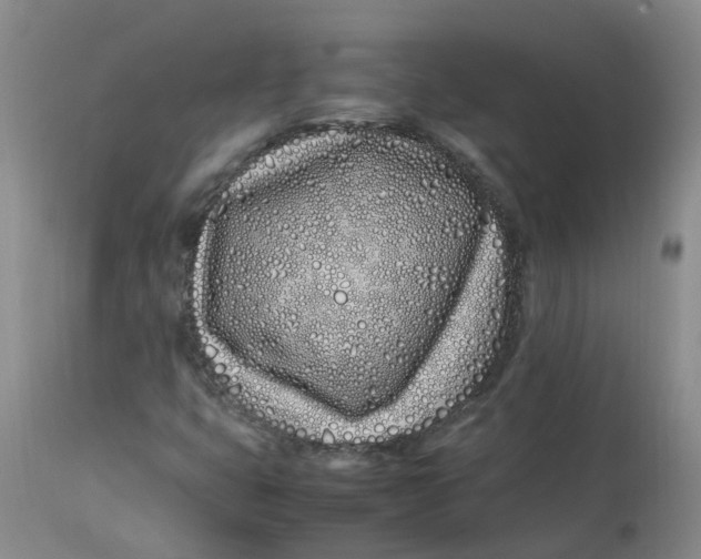 X0000113211399200910011309