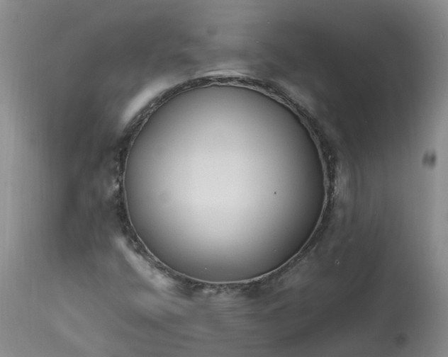 X0000113211400200910011309