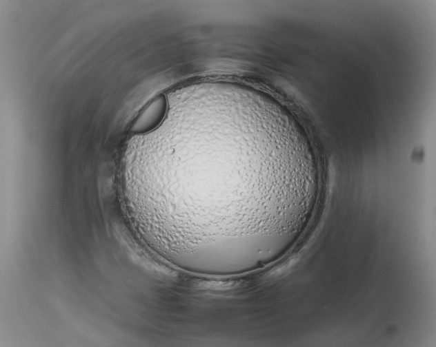 X0000113211401200910011309