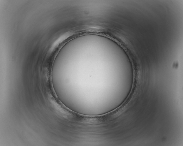 X0000113211402200910011309