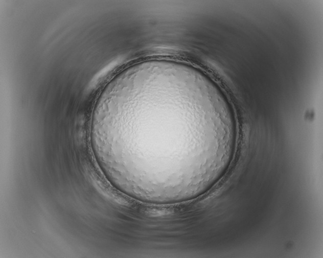 X0000113211403200910011309