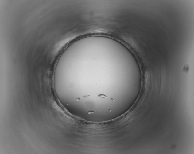 X0000113211404200910011309