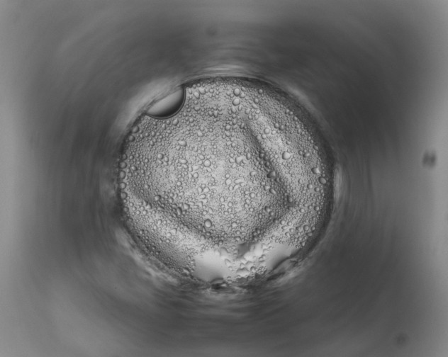 X0000113211405200910011309