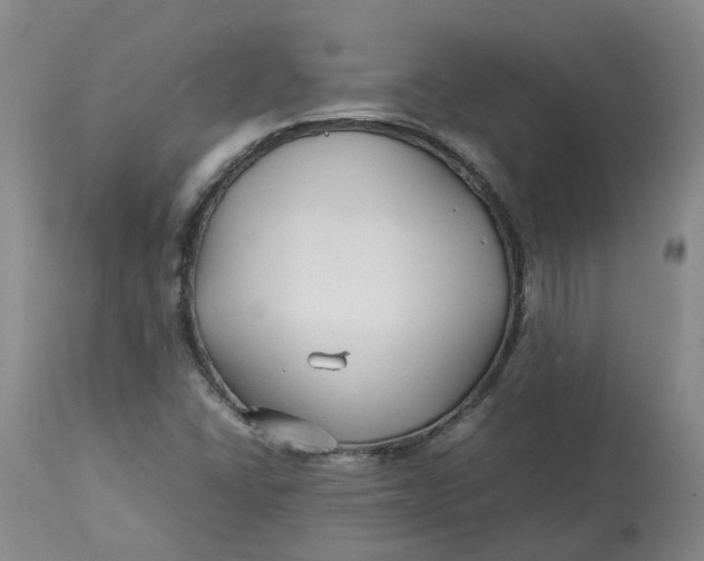 X0000113211406200910011309