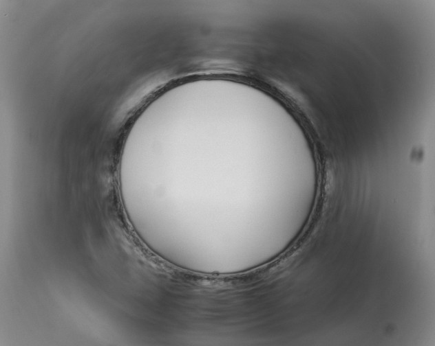 X0000113211407200910011309