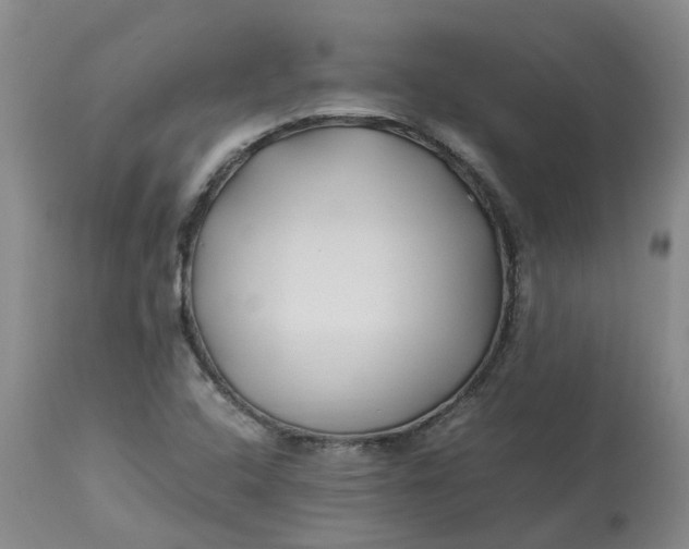 X0000113211408200910011309