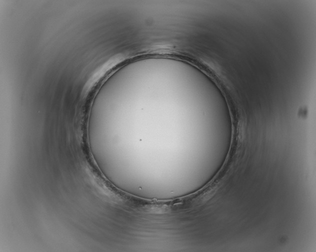 X0000113211410200910011309