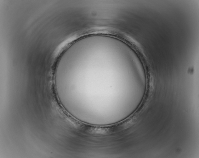 X0000113211411200910011309