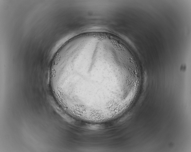 X0000113211413200910011309