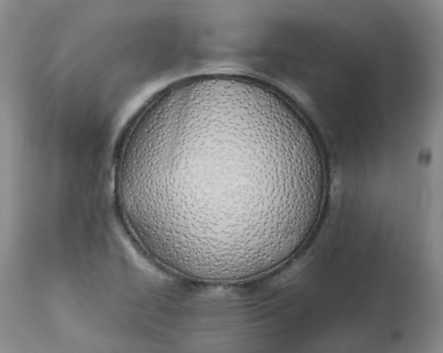 X0000113211414200910011309