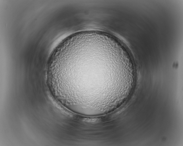 X0000113211415200910011309