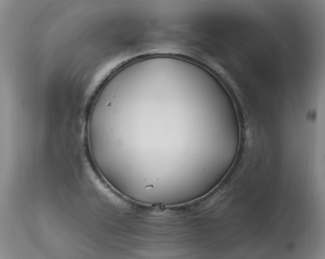 X0000113211416200910011309