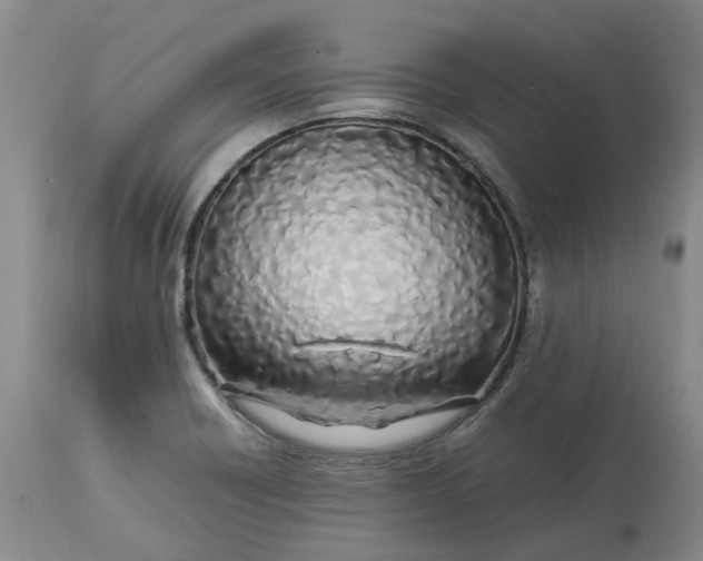 X0000113211418200910011309