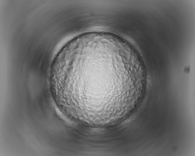 X0000113211421200910011309