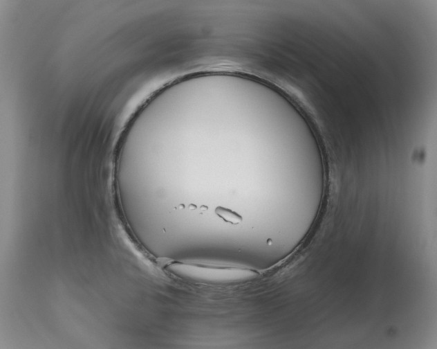 X0000113211424200910011309