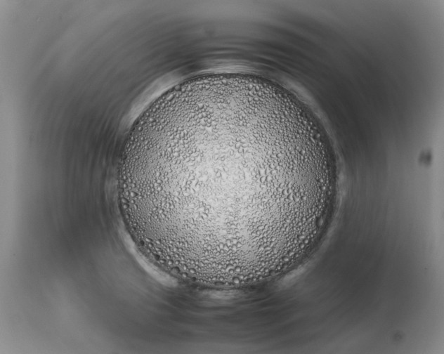 X0000113211425200910011309