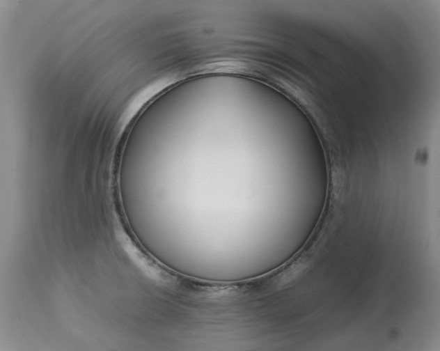 X0000113211426200910011309