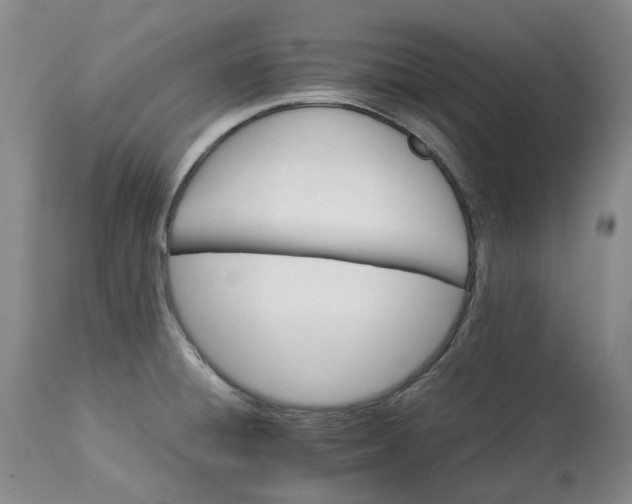 X0000113211428200910011309