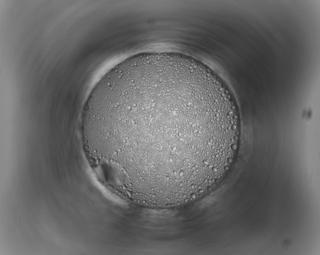 X0000113211429200910011309