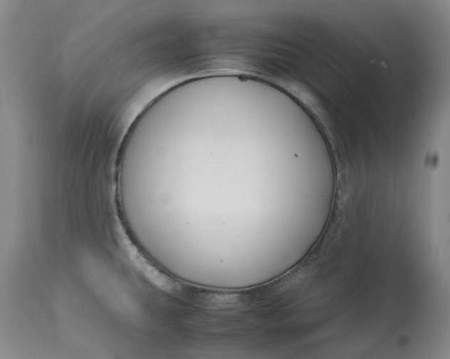 X0000113211431200910011309