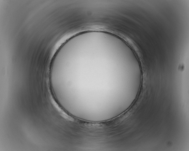 X0000113211432200910011309