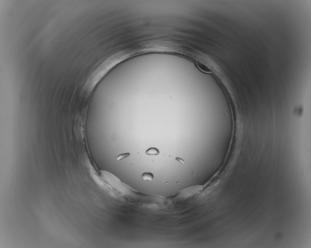 X0000113211433200910011309