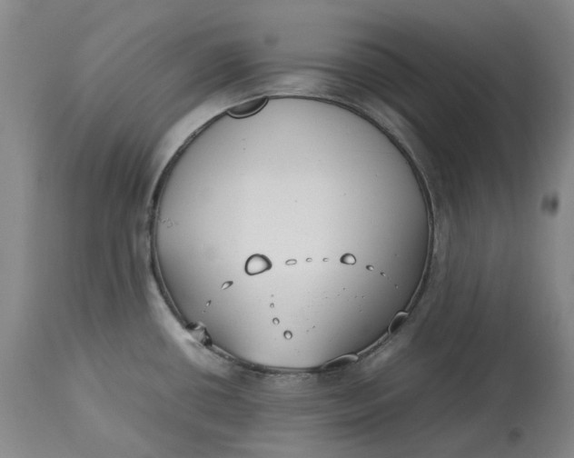 X0000113211434200910011309