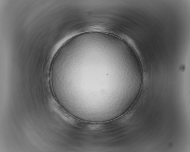 X0000113211435200910011310