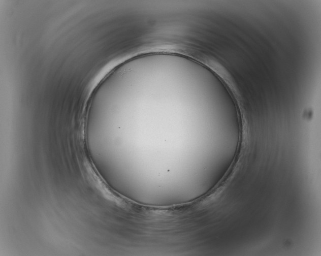 X0000113211436200910011310