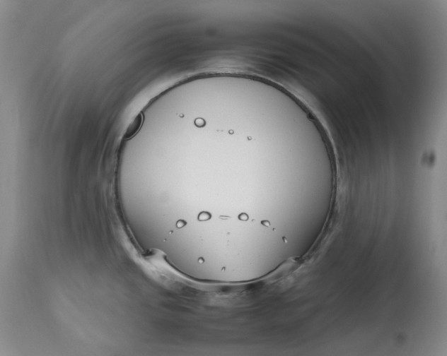 X0000113211437200910011310