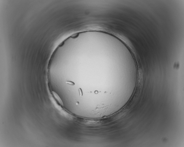 X0000113211439200910011310