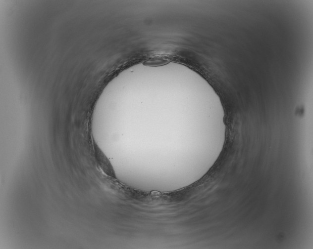 X0000113211441200910011309