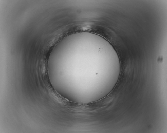 X0000113211442200910011309