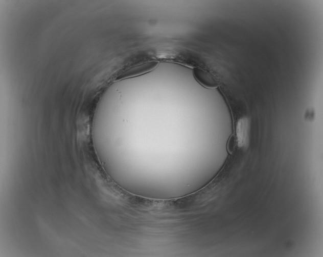 X0000113211443200910011309