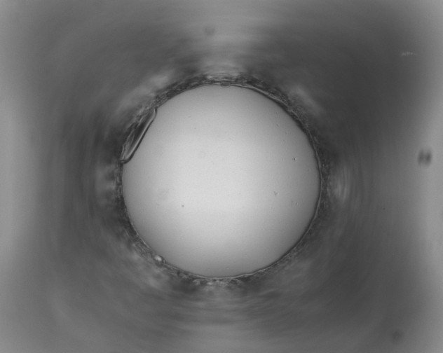 X0000113211445200910011309