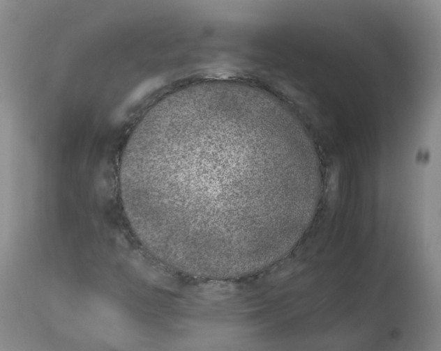 X0000113211446200910011309