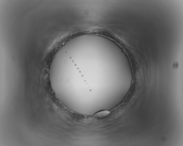 X0000113211447200910011309