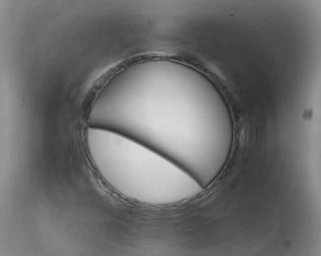 X0000113211448200910011309