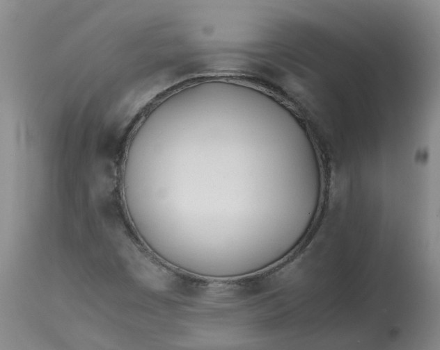 X0000113211449200910011309