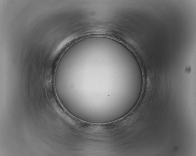 X0000113211450200910011309