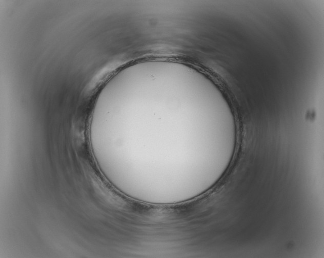 X0000113211451200910011309